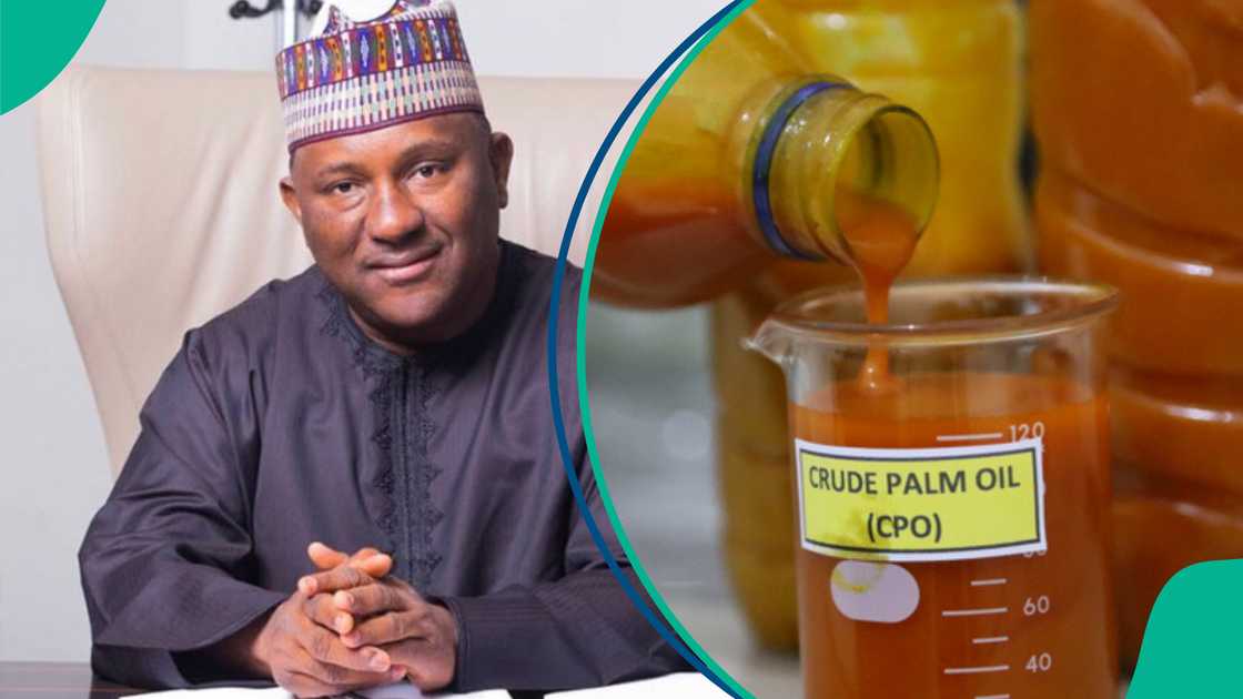 Abdulsamad Rabiu plan palm oil refinery Abdulsamad Rabiu plan palm oil refinery