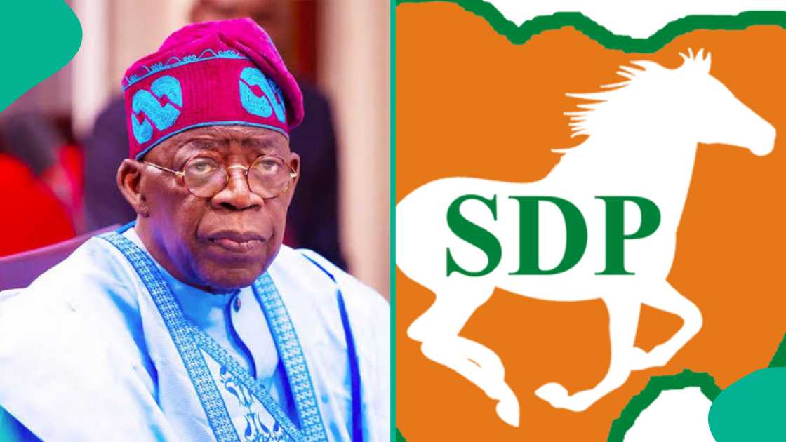List of Political Parties Under Which Tinubu Has Won Elections