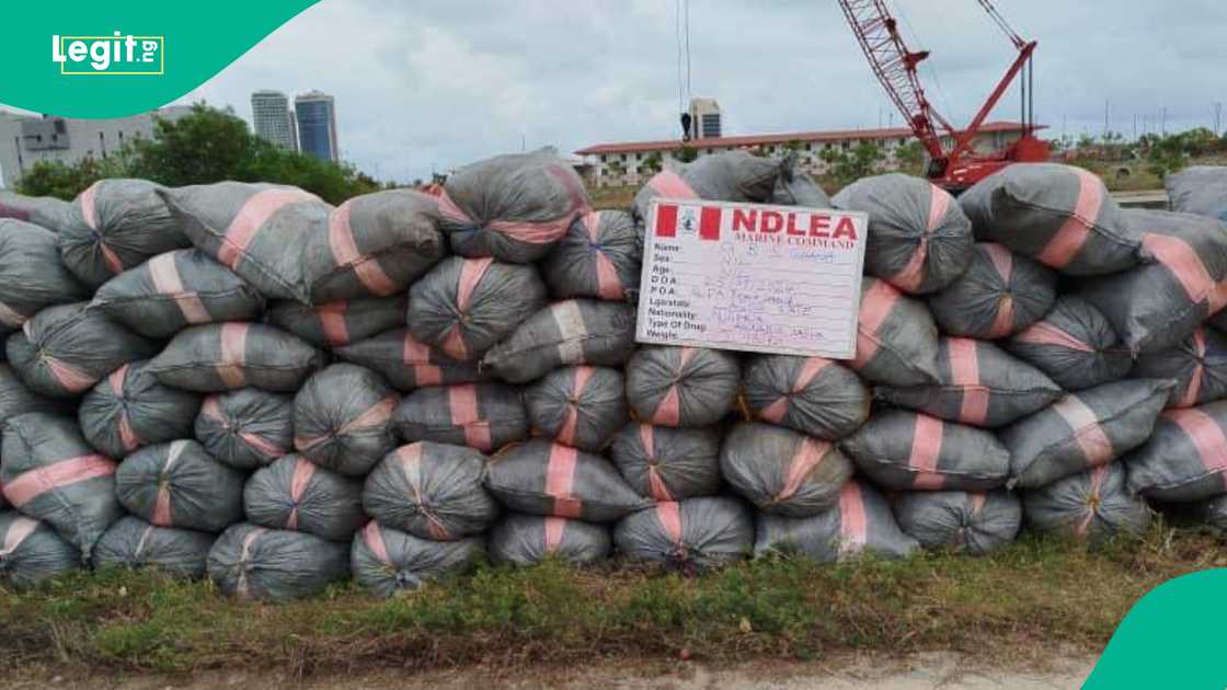 NDLEA uncovers major drug trafficking operations