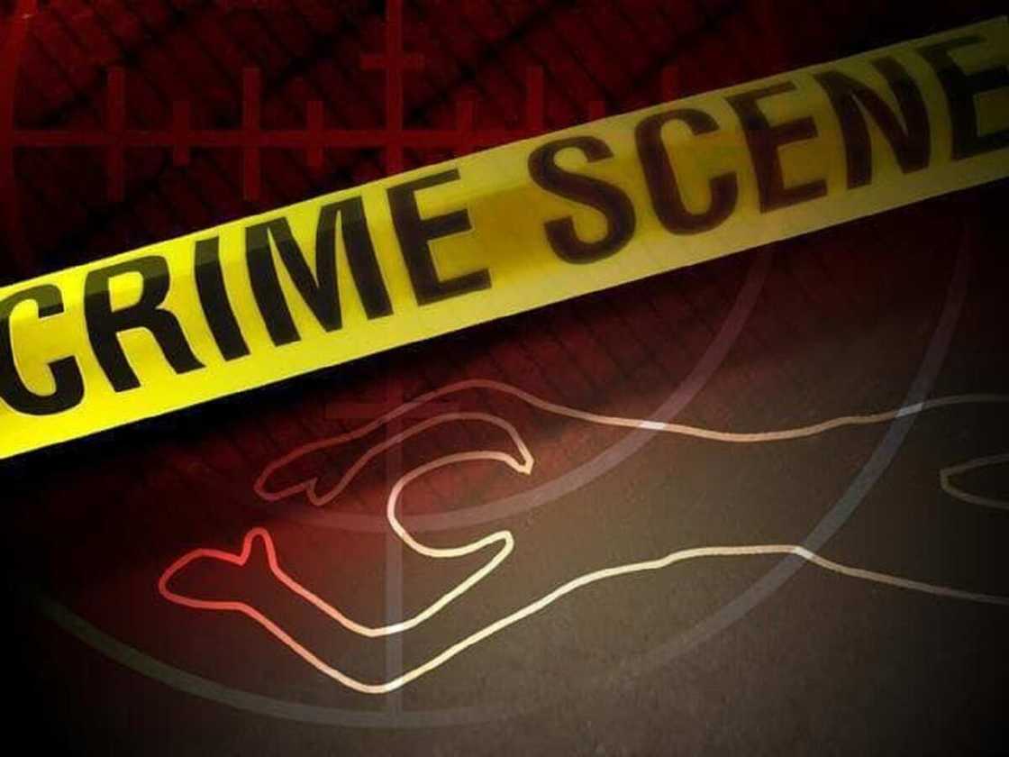 An halaka maihaifi ya 'ya'yansa 2 a hanyarsu ta dawowa daga gona An halaka maihaifi ya 'ya'yansa 2 a hanyarsu ta dawowa daga gona