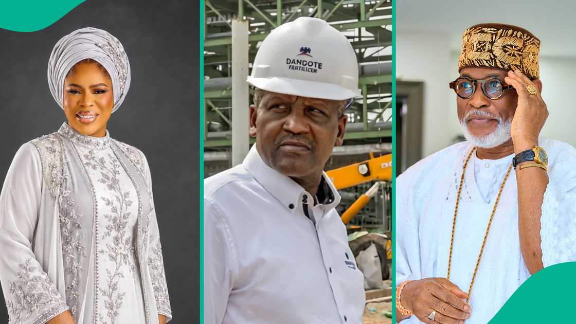 Aliko Dangote welcomed Don Jazzy, RMD, Waje, Teni and other Nigerian stars to the Dangote refinery