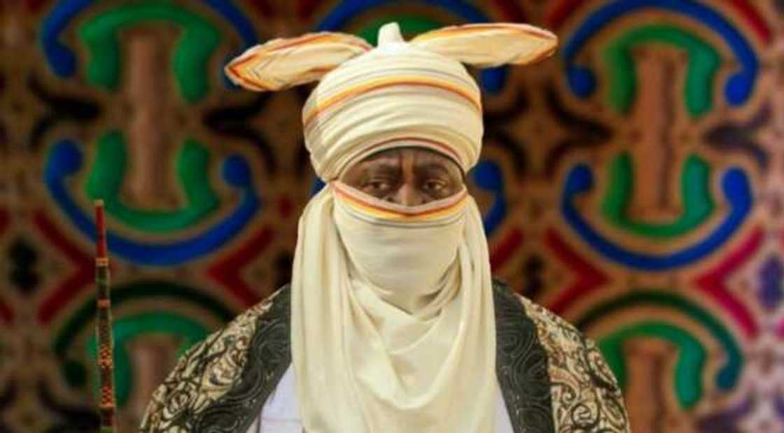 Bayero Bayero
