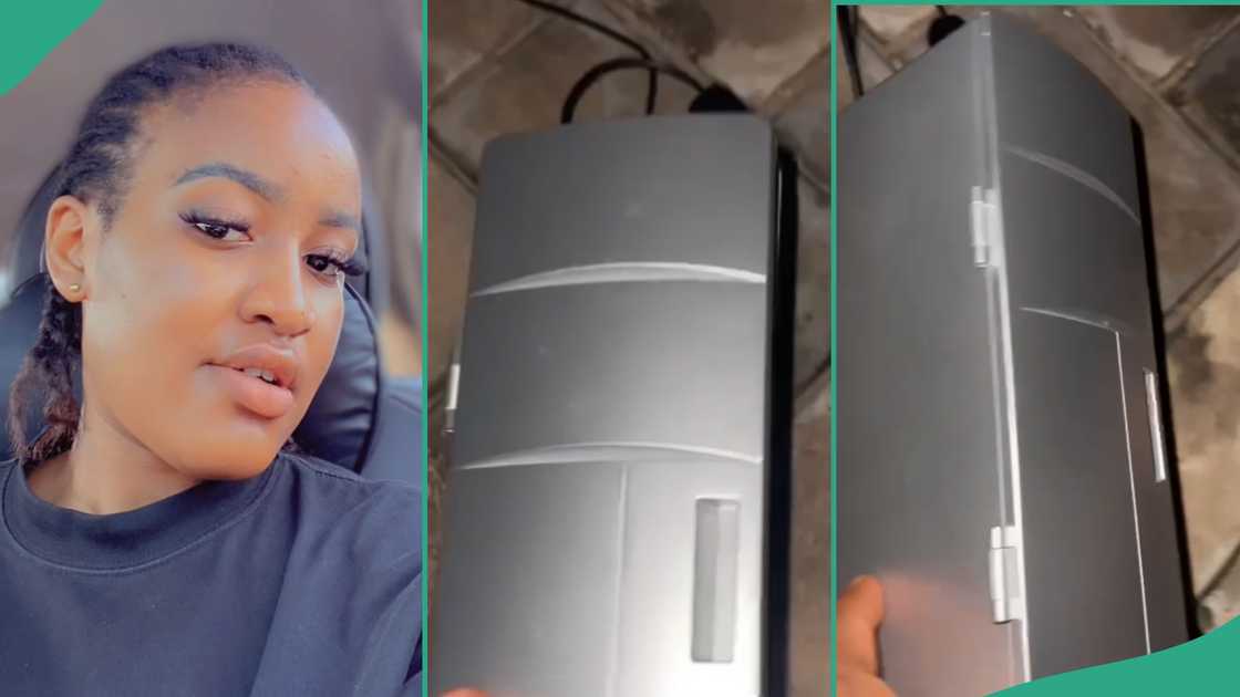 Lady shows fridge her friend ordered from an online store. Lady shows fridge her friend ordered from an online store.