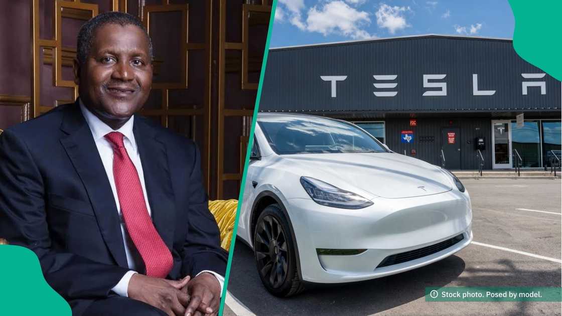 Aliko Dangote reveals lesson from unexpected Tesla Uber ride in Italy Aliko Dangote reveals lesson from unexpected Tesla Uber ride in Italy