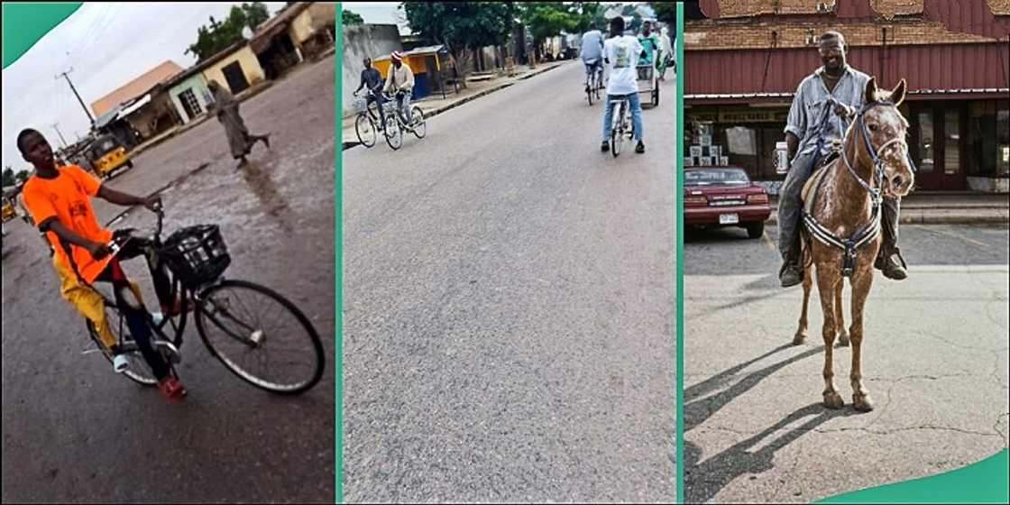 Borno residents use bicycles, horse for transport