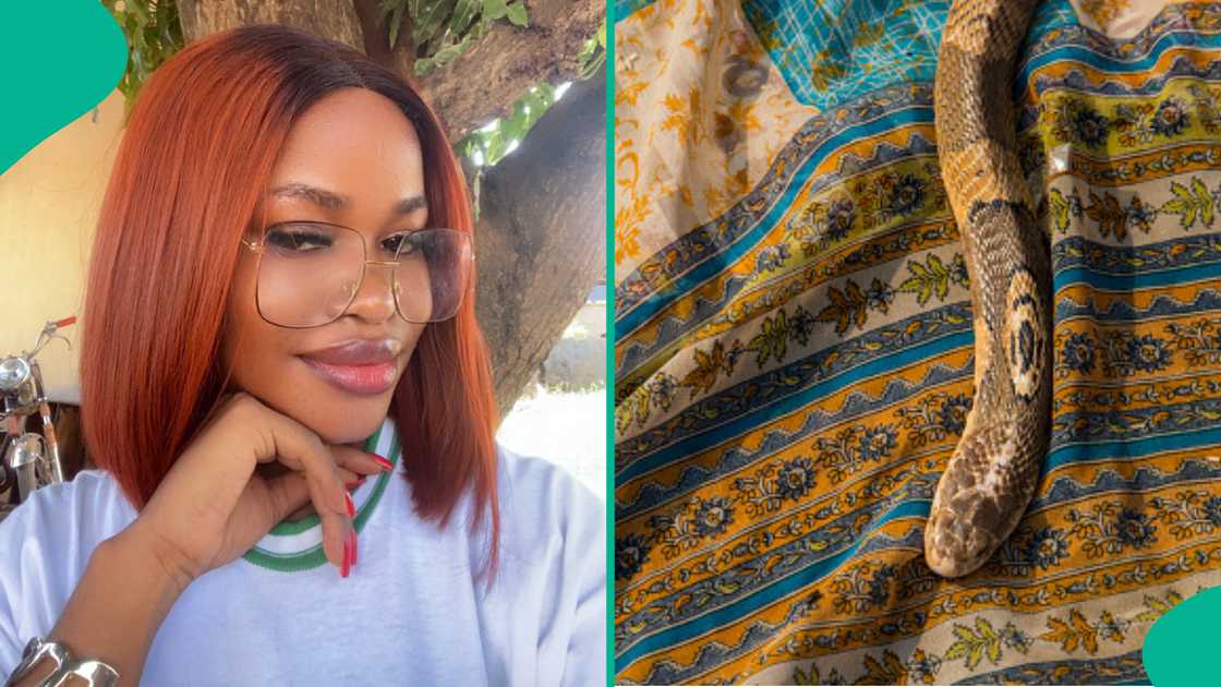 Lady recounts how she survived terrible snakebite 7 years ago, says she couldn't walk for 2 weeks Lady recounts how she survived terrible snakebite 7 years ago, says she couldn't walk for 2 weeks