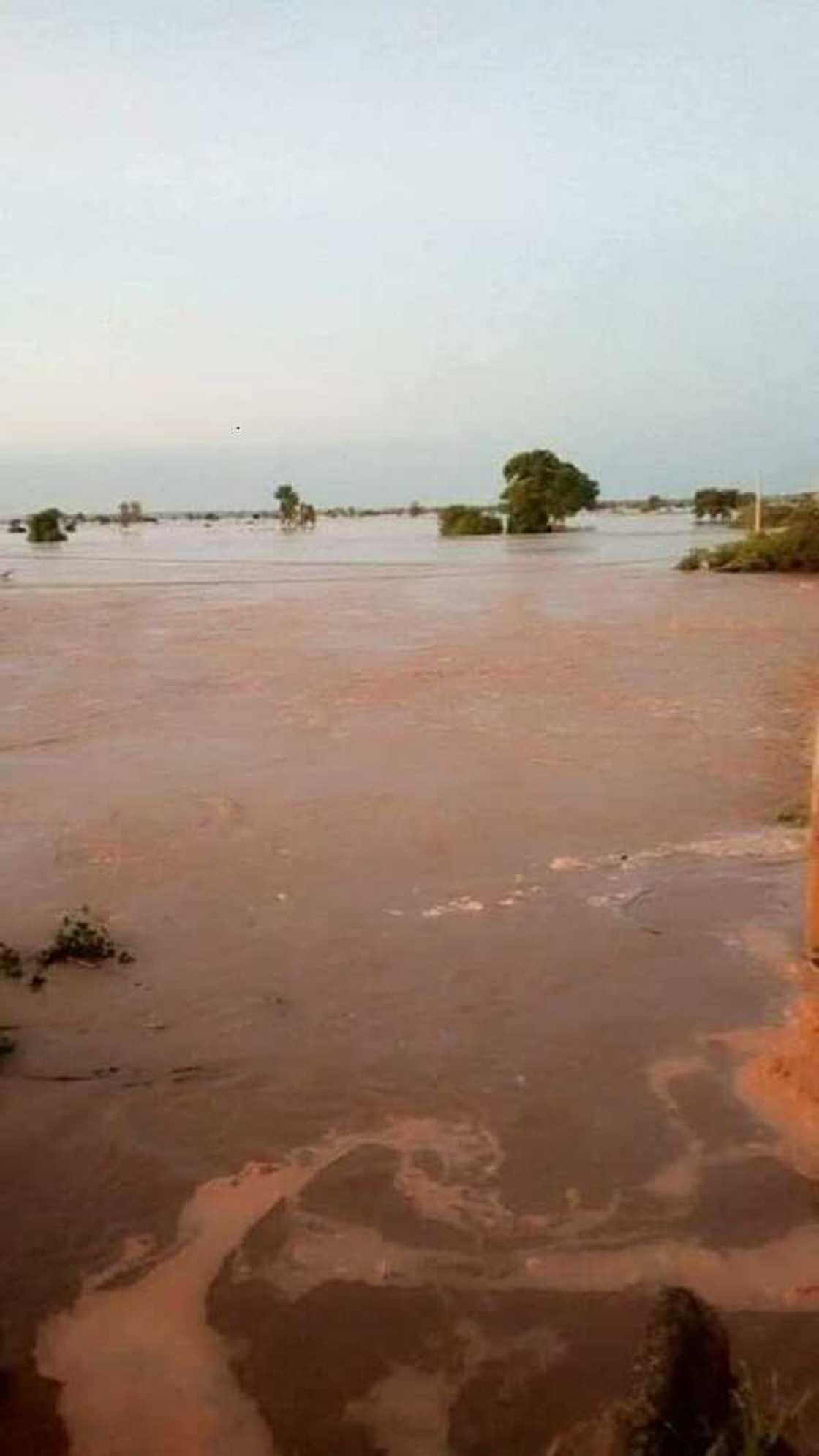 Hotuna: Ambaliyar ruwa ta kashe mutum 4 a Zamfara, ta kwashe gada a Sokoto