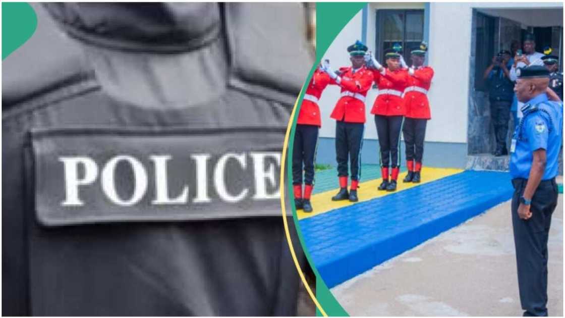 Nigerian Police Force/Police Service Commission/Federal Government Nigerian Police Force/Police Service Commission/Federal Government
