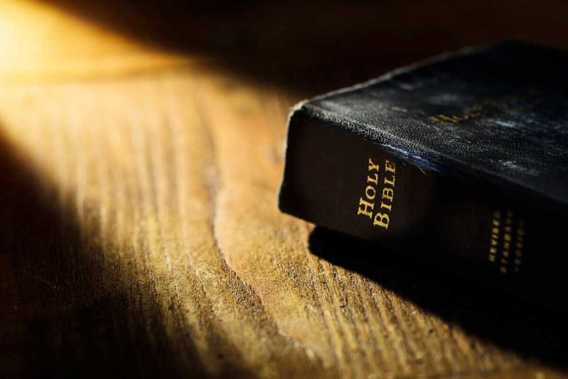Bible verses about charity Bible verses about charity