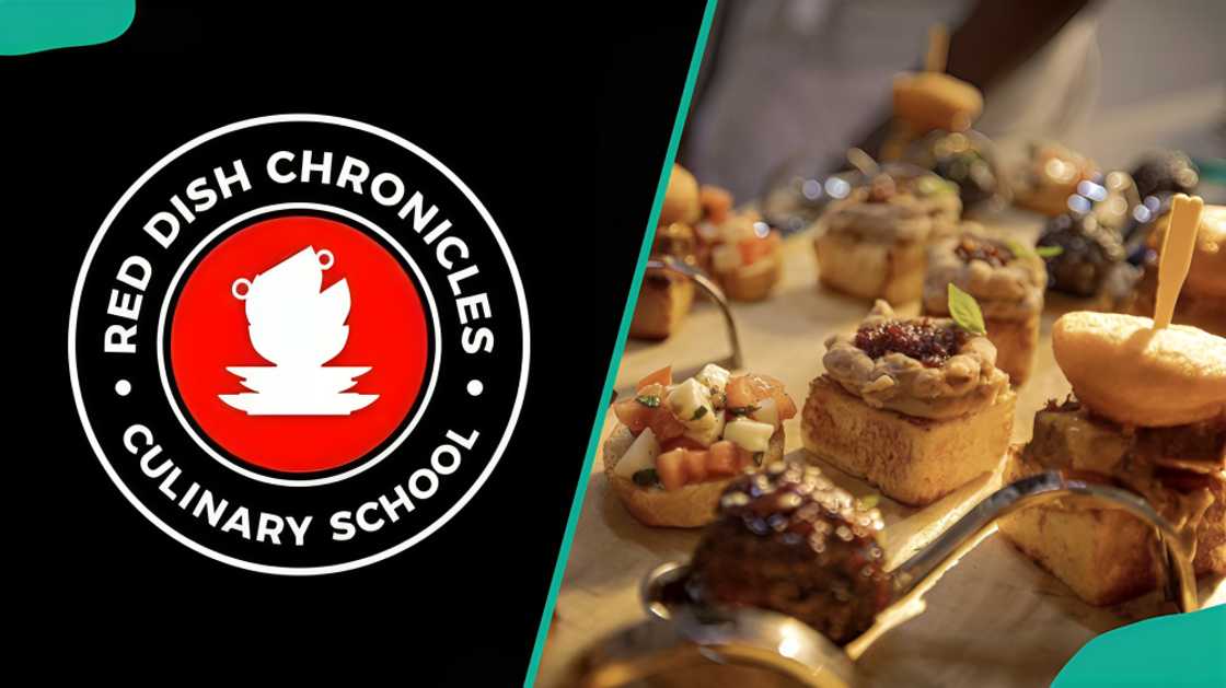 The Red Dish Chronicles Culinary School and different cakes The Red Dish Chronicles Culinary School and different cakes