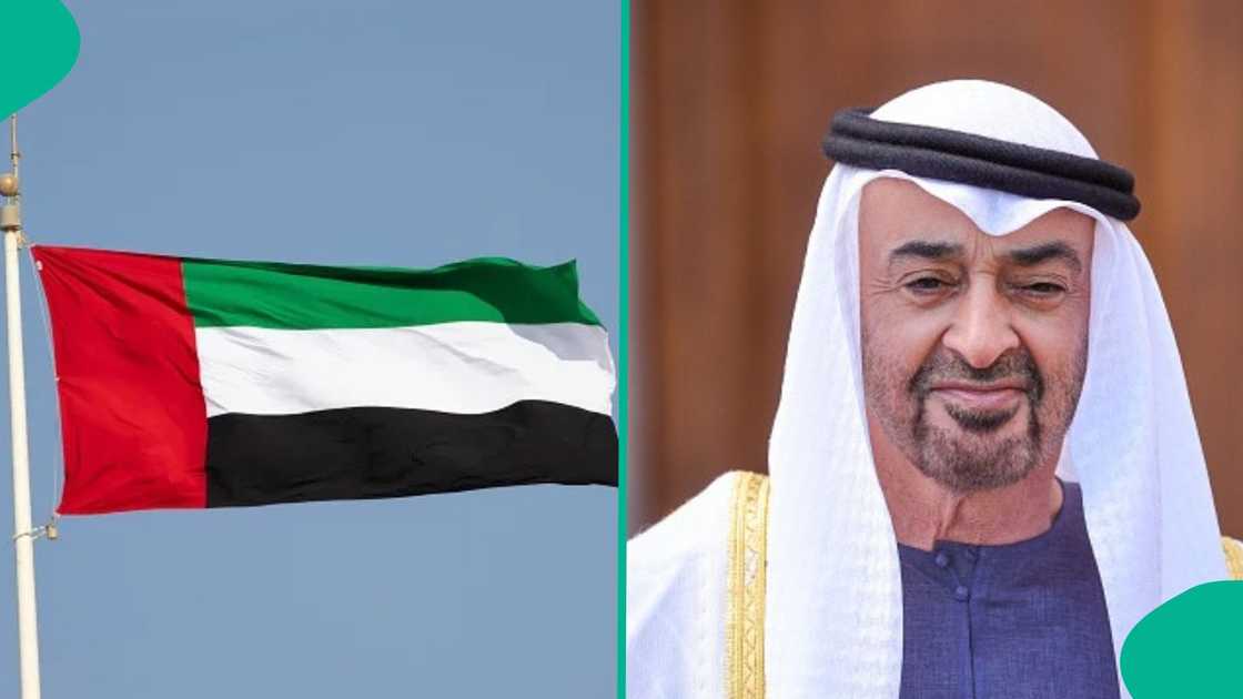 UAE announces monthly penalty for businesses that fail to meet e-invoicing deadline UAE announces monthly penalty for businesses that fail to meet e-invoicing deadline