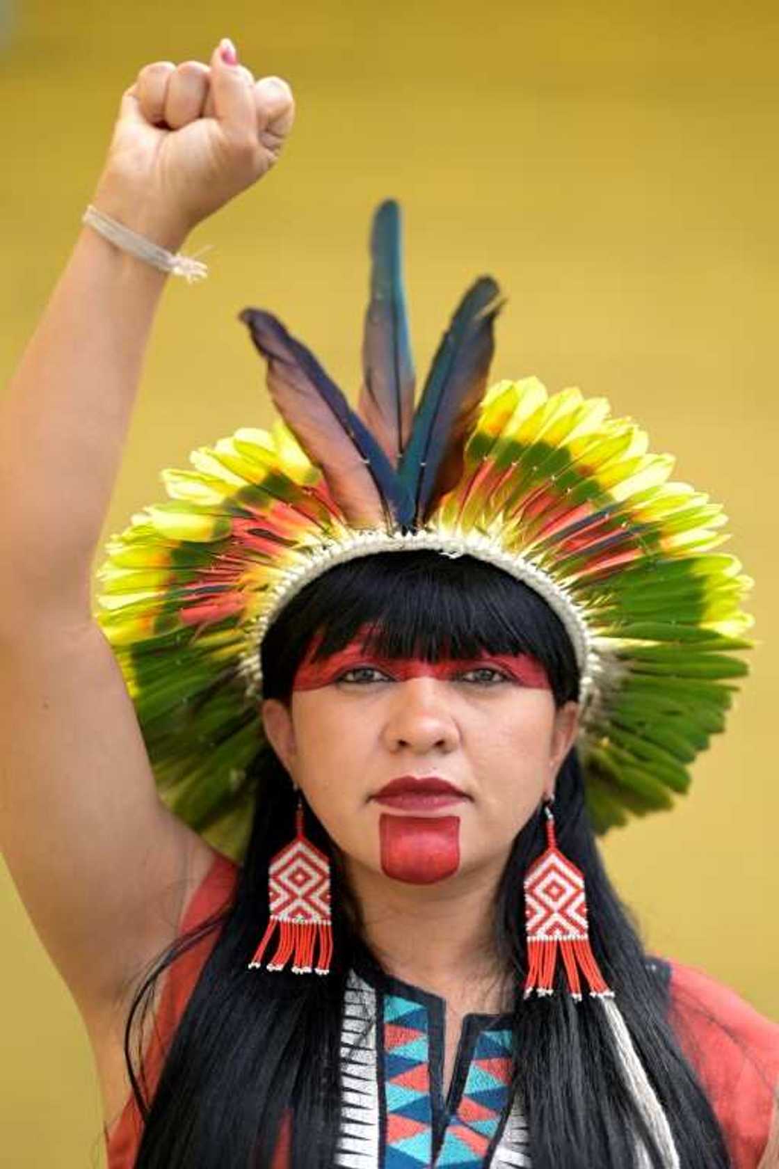 Celia Xakriaba, an Indigenous activist, says she plans to fight agribusiness and depredation of the Amazon during her upcoming term in Brazil's Congress Celia Xakriaba, an Indigenous activist, says she plans to fight agribusiness and depredation of the Amazon during her upcoming term in Brazil's Congress