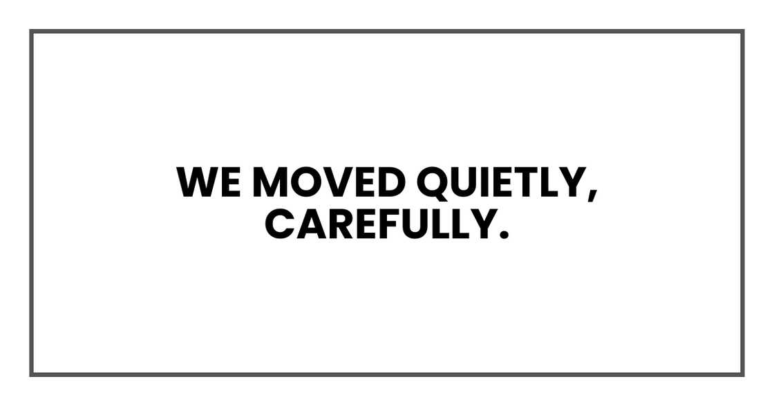 We moved quietly, carefully. We moved quietly, carefully.