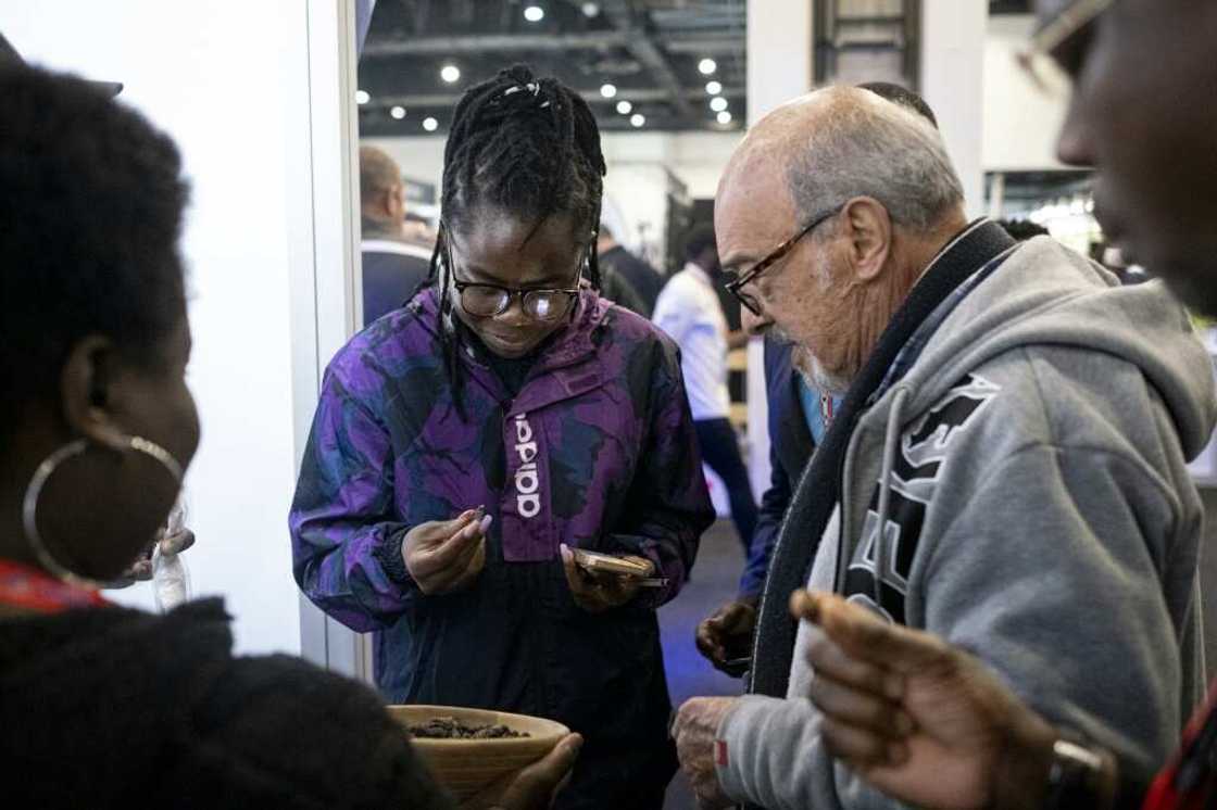 Vesela tried to woo reluctant customers with biscuits and protein bars at a recent food fair in Johannesburg's upmarket Sandton district