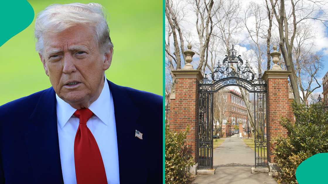 Trump Stops Harvard University from Enrolling Nigerians, Other Foreign Students Trump Stops Harvard University from Enrolling Nigerians, Other Foreign Students