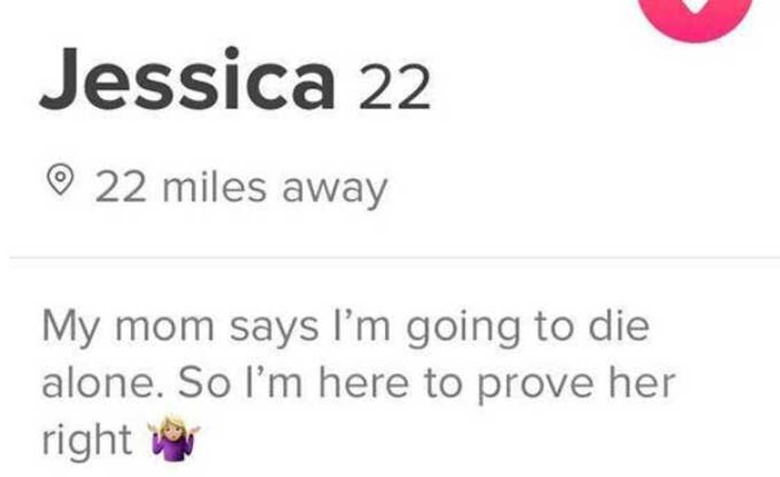 tinder bio tinder bio