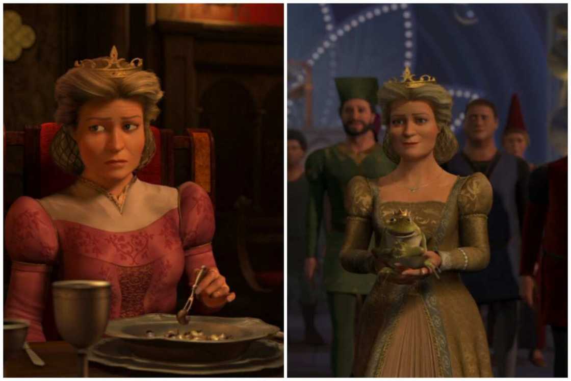 Shrek female characters Shrek female characters