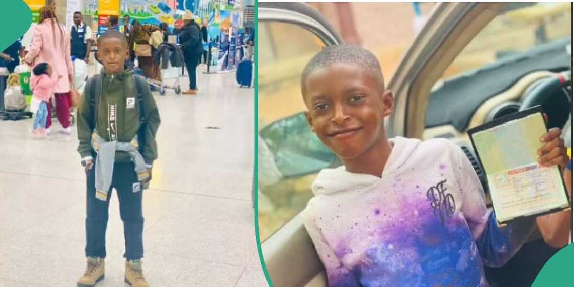 Canada, little boy, foodstuffs, family Canada, little boy, foodstuffs, family