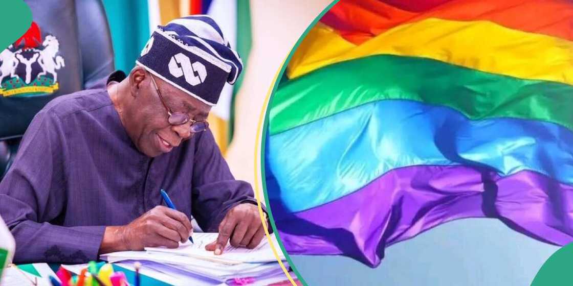 Has Tinubu's govt legalised LGBT in Nigeria by signing $150bn Samoa deal? Has Tinubu's govt legalised LGBT in Nigeria by signing $150bn Samoa deal?