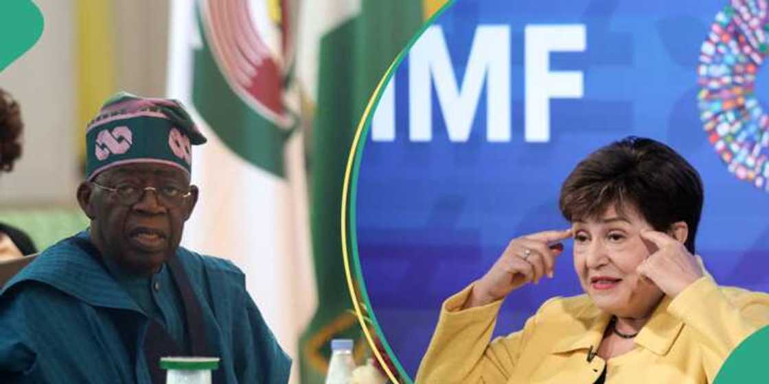 IMF Tinubu IMF Tinubu