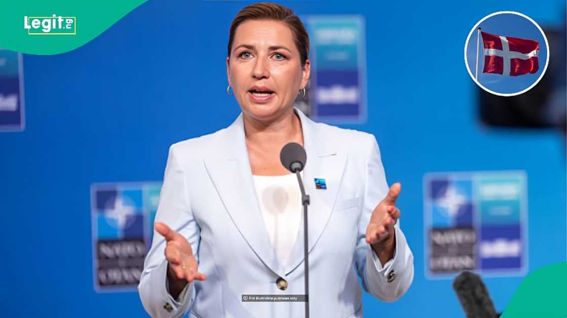 Denmark unveils platform where foreigners can apply for jobs
