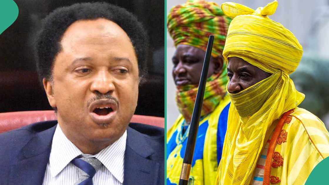 Shehu Sani, the former Senator from Kaduna state, has kicked against the statement of Emir Muhammadu Sanusi II that his daughters have been ordered to return slaps when their husband slap them.