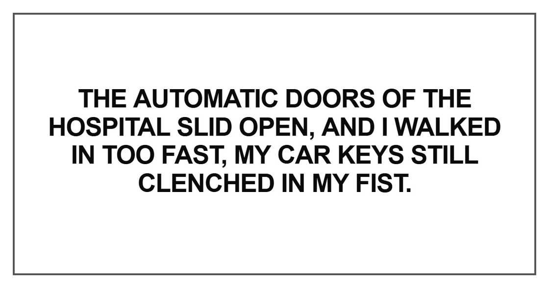 The automatic doors The automatic doors