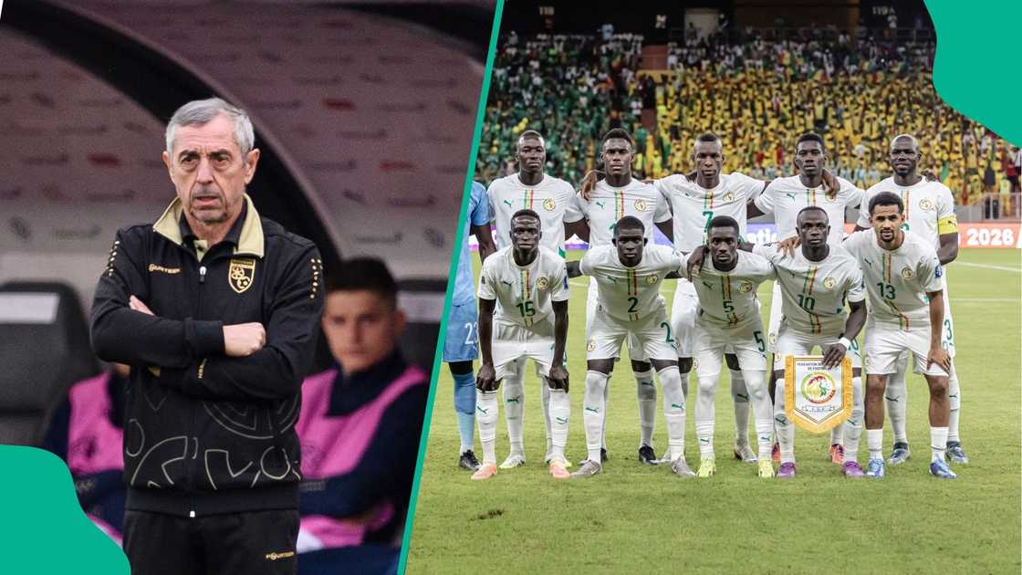 Paris Saint-Germain, Alain Giresse, Senegal, FIFA, World Cup, Football. Paris Saint-Germain, Alain Giresse, Senegal, FIFA, World Cup, Football.