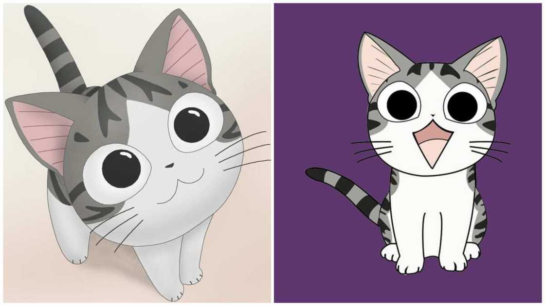 cats in anime cats in anime