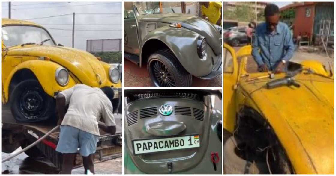 Beetle car, tortoise car, man scatters old car, new car Beetle car, tortoise car, man scatters old car, new car