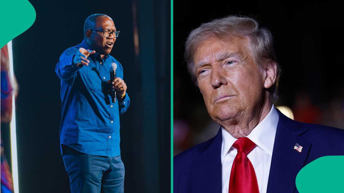 Peter Obi da Trump. Peter Obi da Trump.