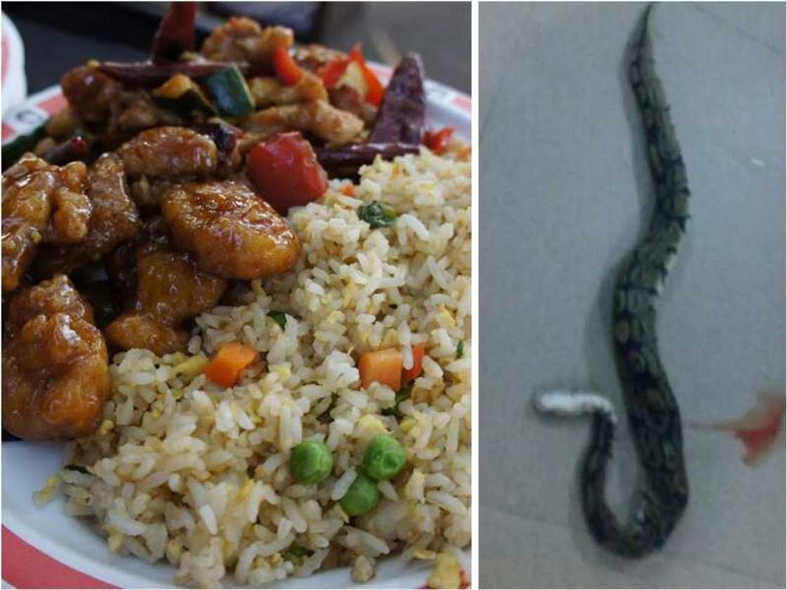 Tashin hankali: Bidiyon yadda wani dafaffen nama ya koma katon maciji Tashin hankali: Bidiyon yadda wani dafaffen nama ya koma katon maciji