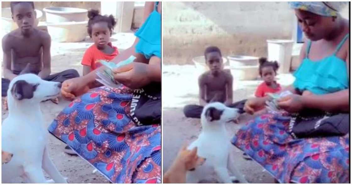 Dog, spittle, woman, money Dog, spittle, woman, money