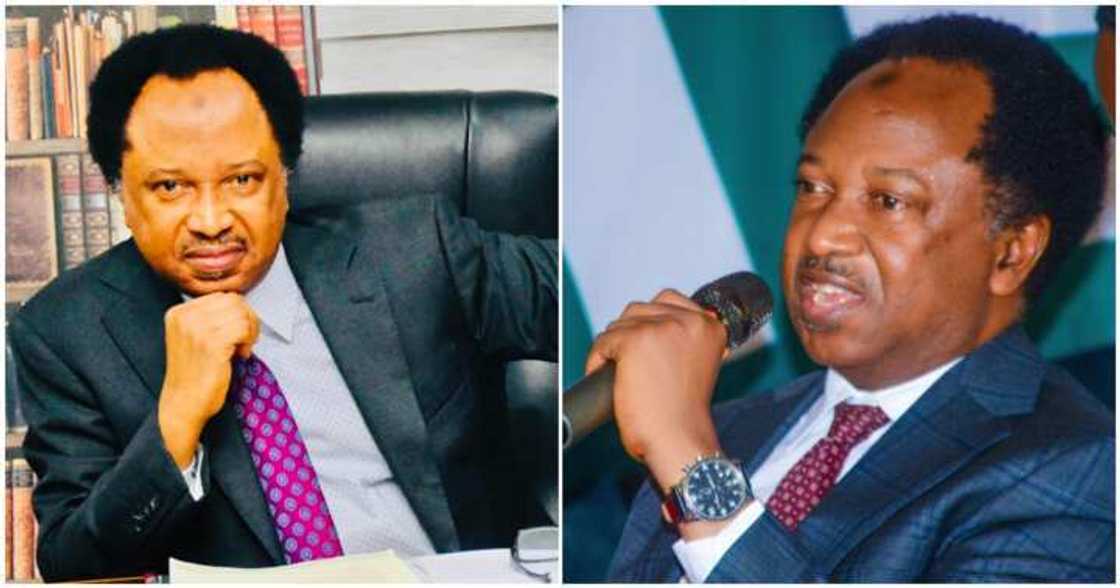 Sanata Shehu Sani ya yi shagube ga El-Rufai kan kin tabbatar da shi a mukamin minista Sanata Shehu Sani ya yi shagube ga El-Rufai kan kin tabbatar da shi a mukamin minista