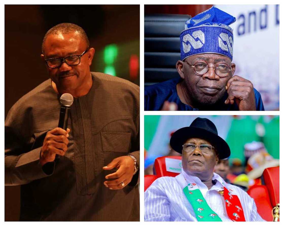 Bola Tinubu/Atiku Abubakar/Ado Doguwa/Peter Obi/Labour Party/PDP/APC/2023 Election