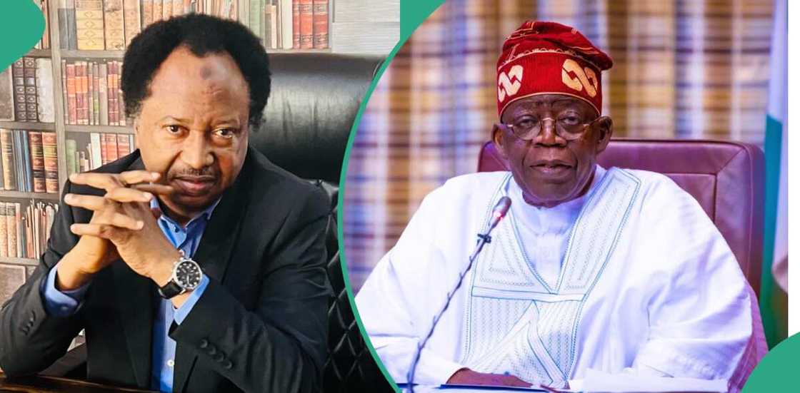 Shehu Sani's message to Bola Tinubu on Oronsaye report Shehu Sani's message to Bola Tinubu on Oronsaye report