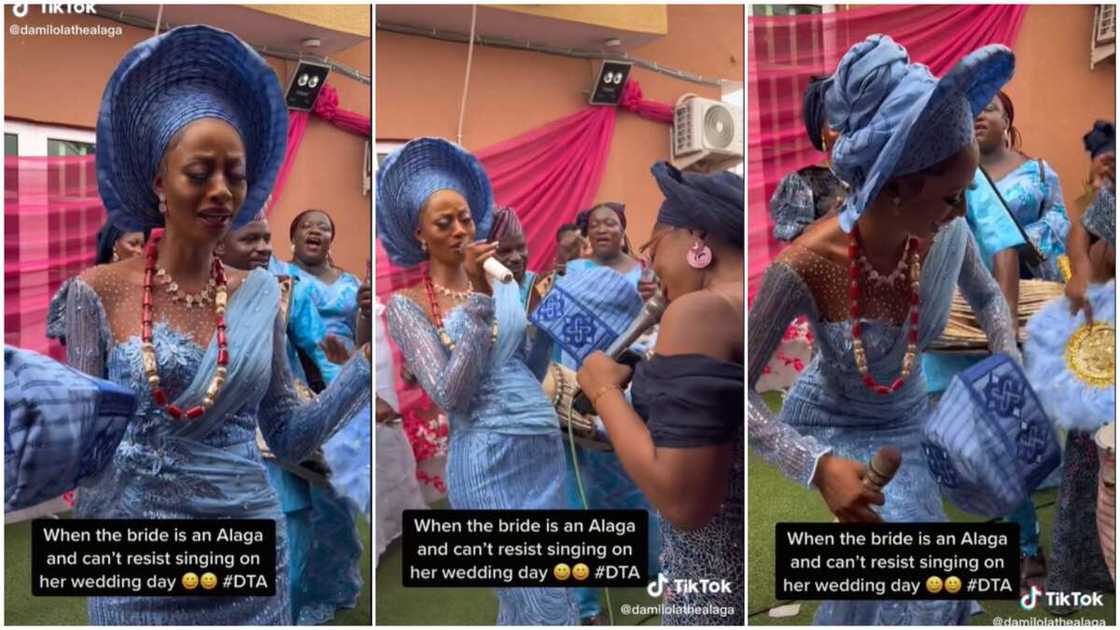 Wedding celebrations in Nigeria/bride showed sang with happiness. Wedding celebrations in Nigeria/bride showed sang with happiness.
