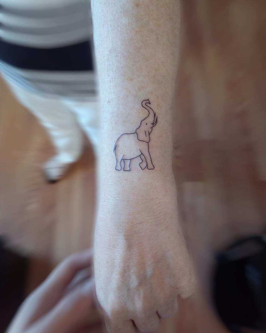 Elephant tattoo simple idea Elephant tattoo simple idea