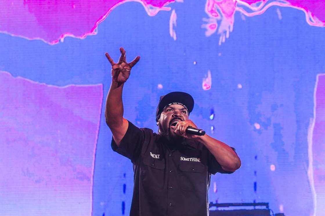 Ice Cube net worth Ice Cube net worth