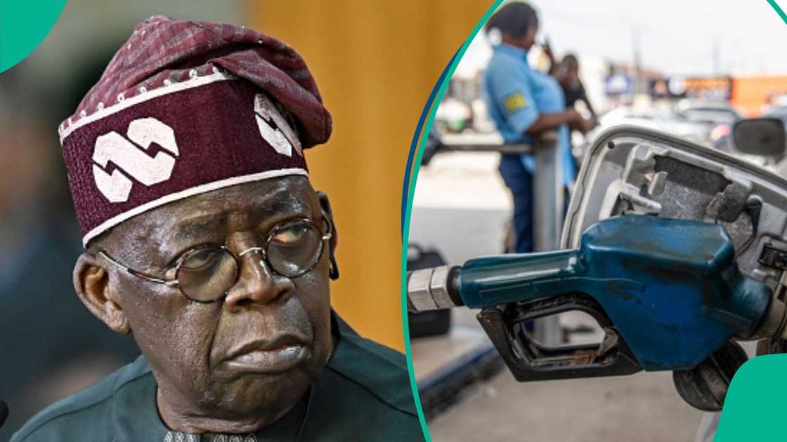Tinubu Tinubu