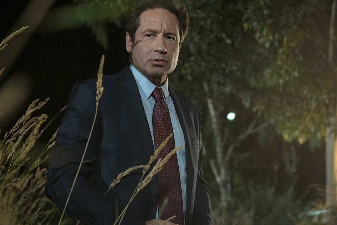 Fox Mulder from The X-Files