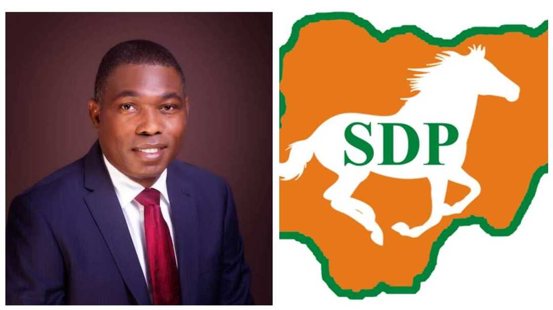Adebayo Adewole na SDP.
