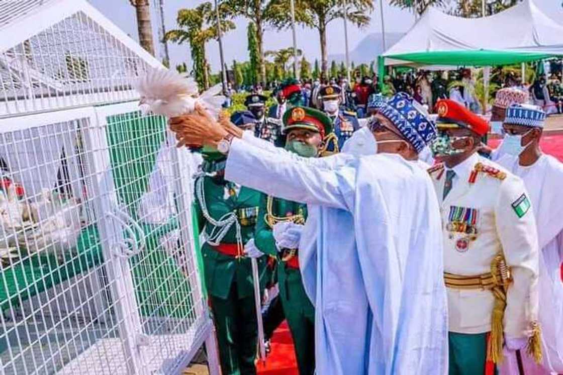 Armed Forces Remembrance Day ceremony: Heated reactions from Nigerians as pigeons released by Buhari refuse to fly