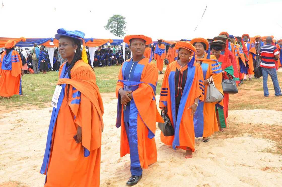 Nnamdi Azikiwe University courses