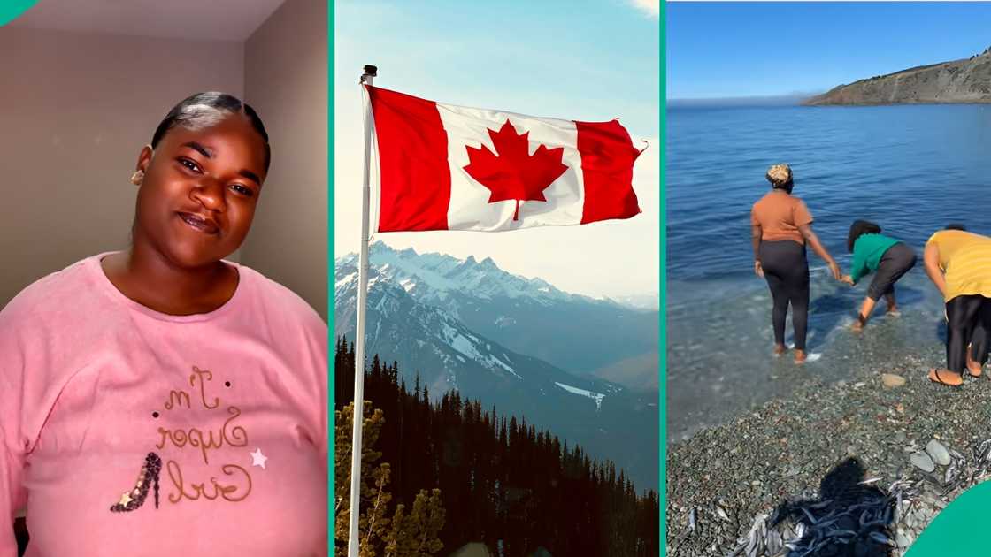 A Nigerian lady in Canada showed the plenty fish she got for free after going fishing