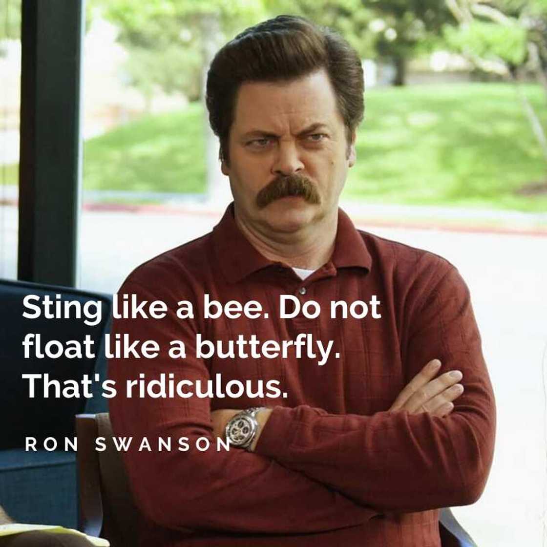 Ron Swanson quotes Ron Swanson quotes