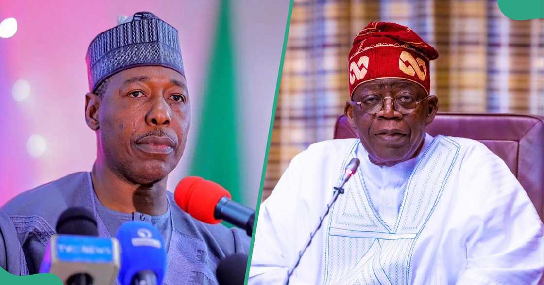 Northern governors led by Zulum have asked Tinubu to delay the controversial tax reform bills Northern governors led by Zulum have asked Tinubu to delay the controversial tax reform bills