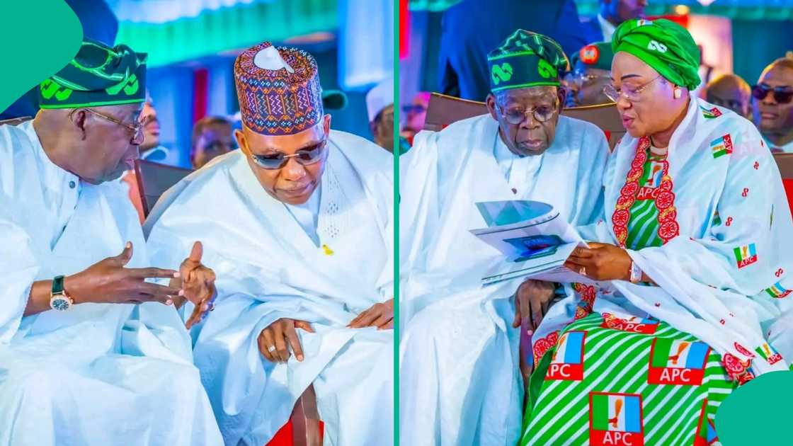 Tinubu ya kaddamar da kwamitin kamfen zabe Tinubu ya kaddamar da kwamitin kamfen zabe