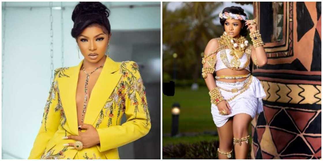 Photos of Liquorose. Photos of Liquorose.