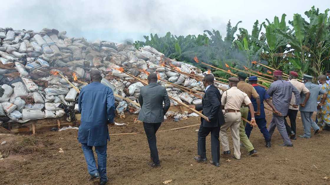 NDLEA agents burn drugs NDLEA agents burn drugs